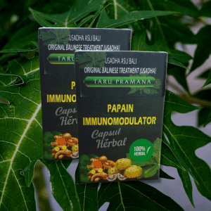 papain immunomodulator kapsul