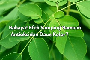 ramuan antioksidan daun kelor