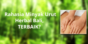 rahasia minyak urut herbal bali - badimin oil