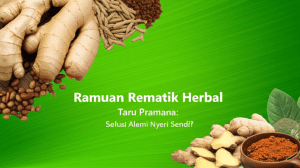 ramuan rematik herbal